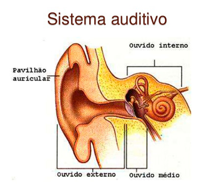 Sistema Auditivo Humano